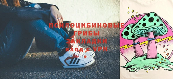 спайс Алексин
