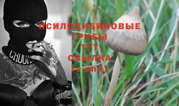 спайс Алексин