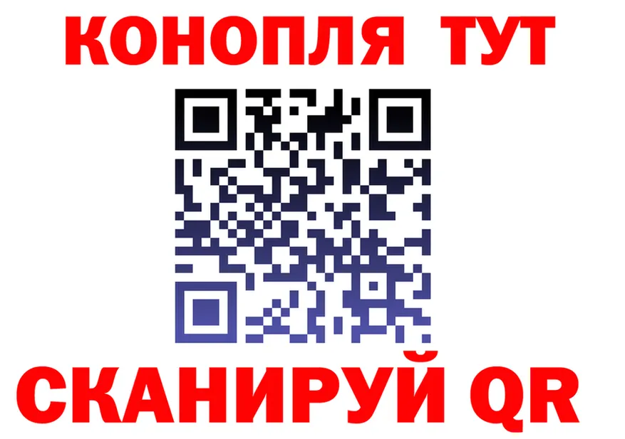 A PVP СК КРИС ССЫЛКА маркетплейс OMG Коркино